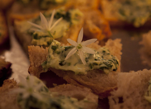 Voorproefje Food Film Festival YFM